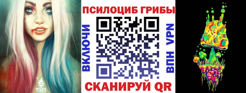 Псилоцибиновые грибы Cubensis  kraken зеркало  Гаврилов-Ям  наркотики 